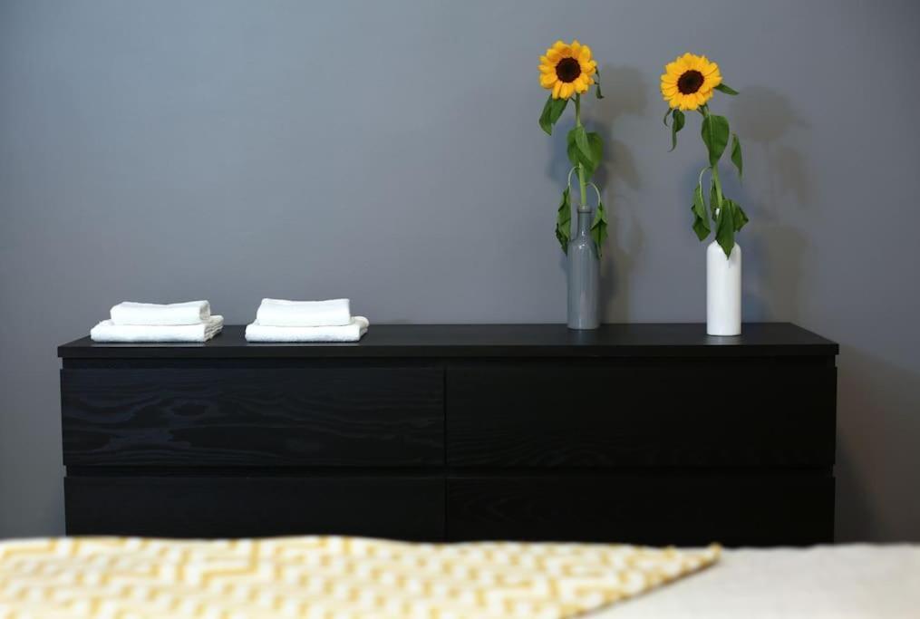 ☆beach Centar Large Stylish With Terrace Apartment